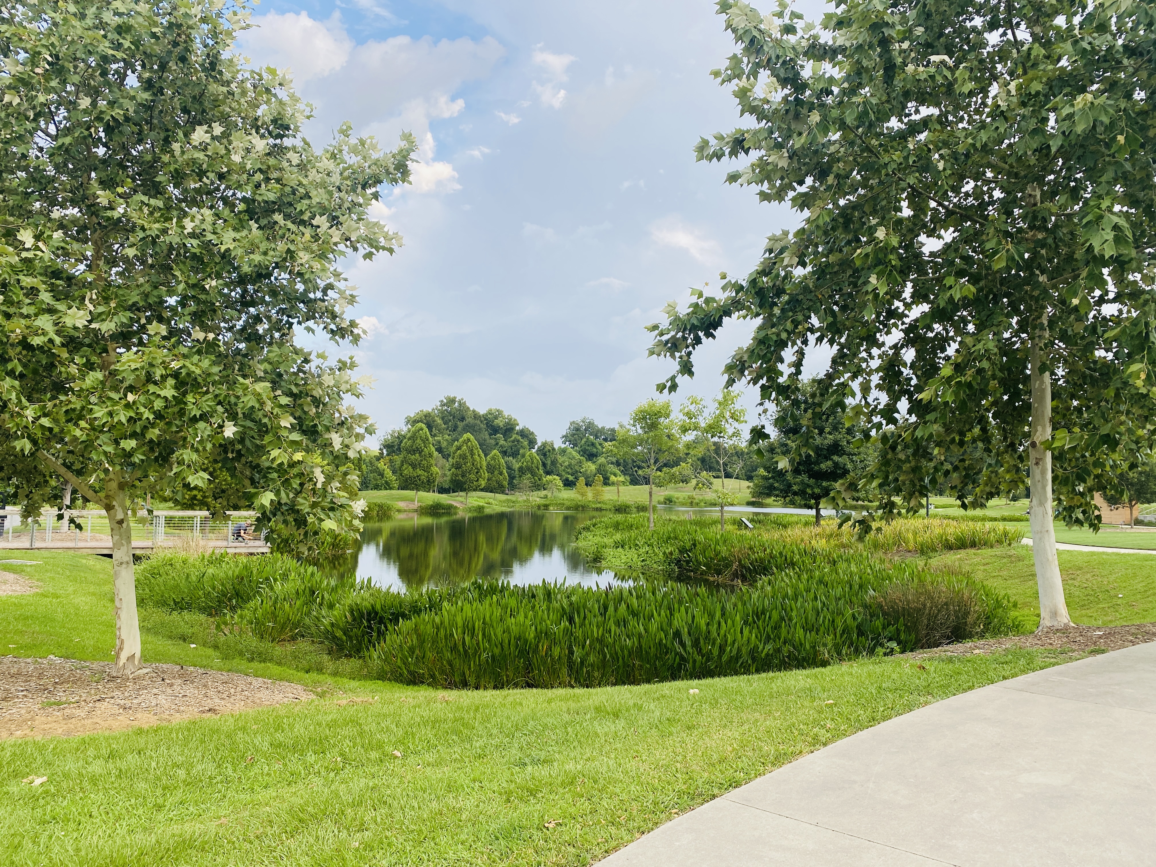 A view across Lake Reaux at Moncus Park