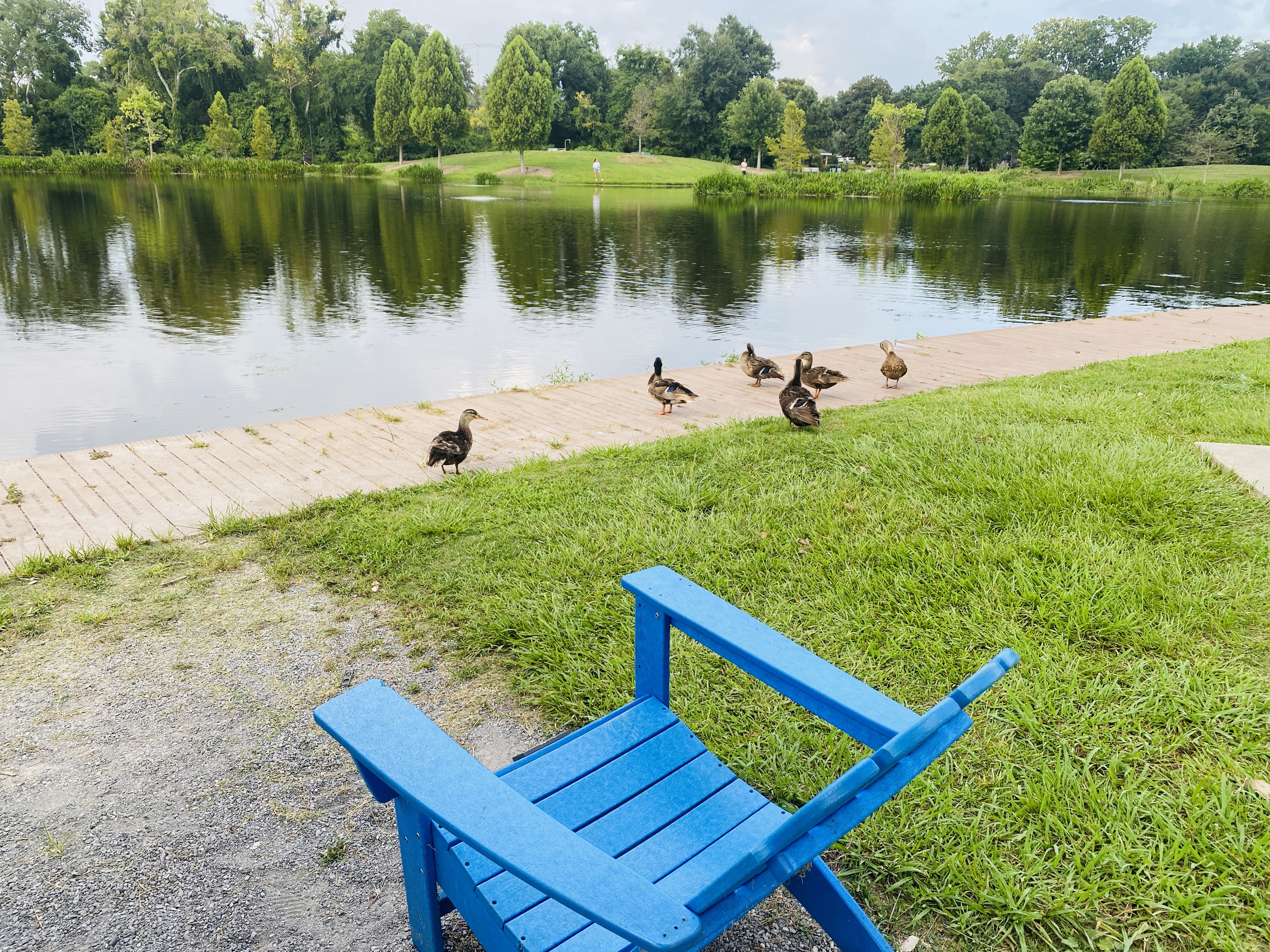 Visitors and dogs gathering at Moncus Park